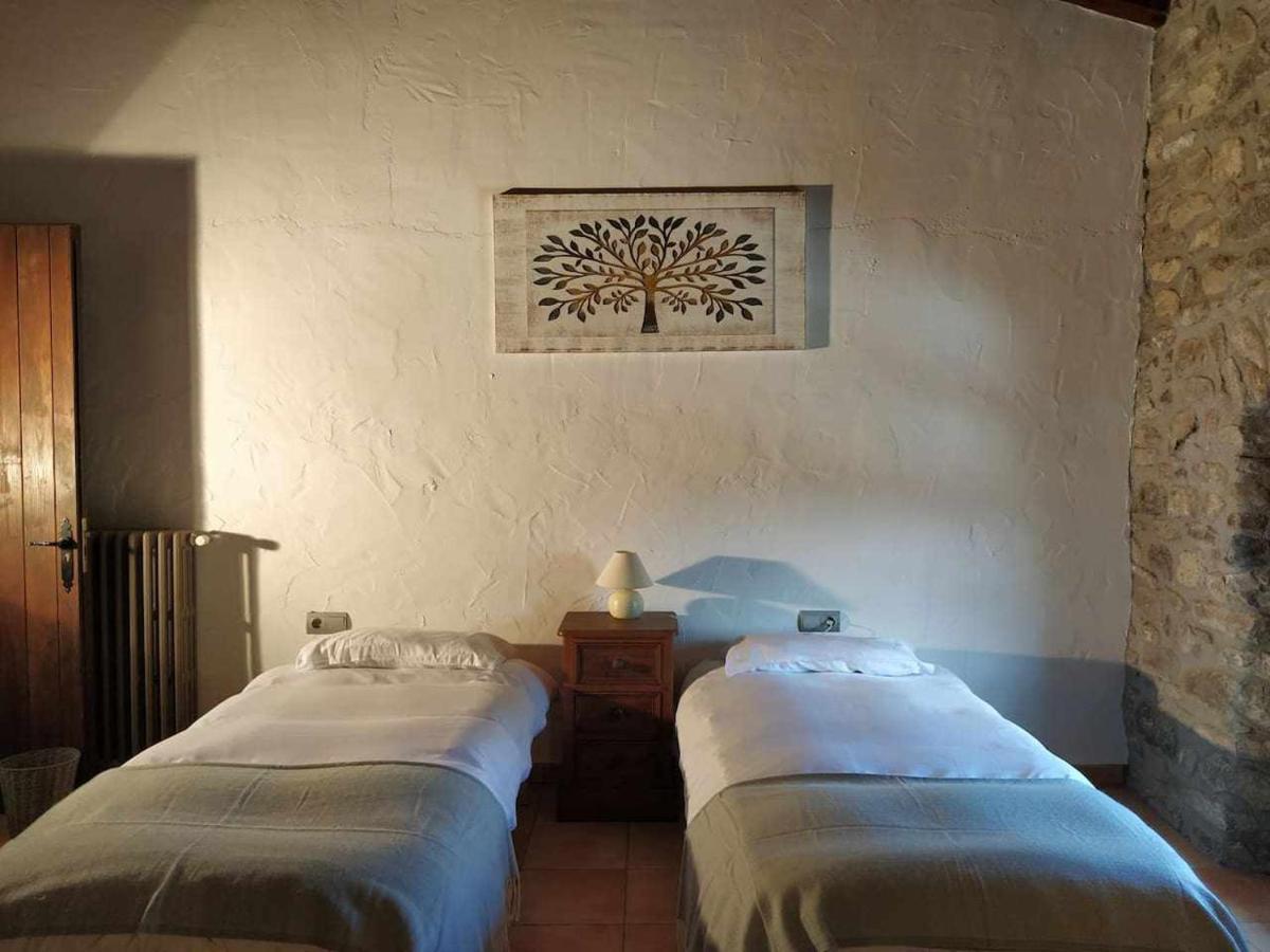 Mas Planella Casa Rural Mieres  المظهر الخارجي الصورة